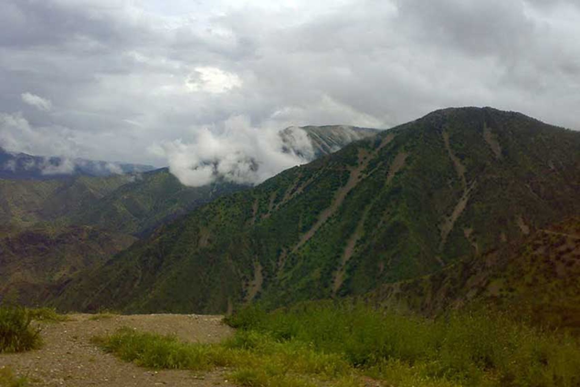 منطقه حفاظت شده بوزین و مرخیل