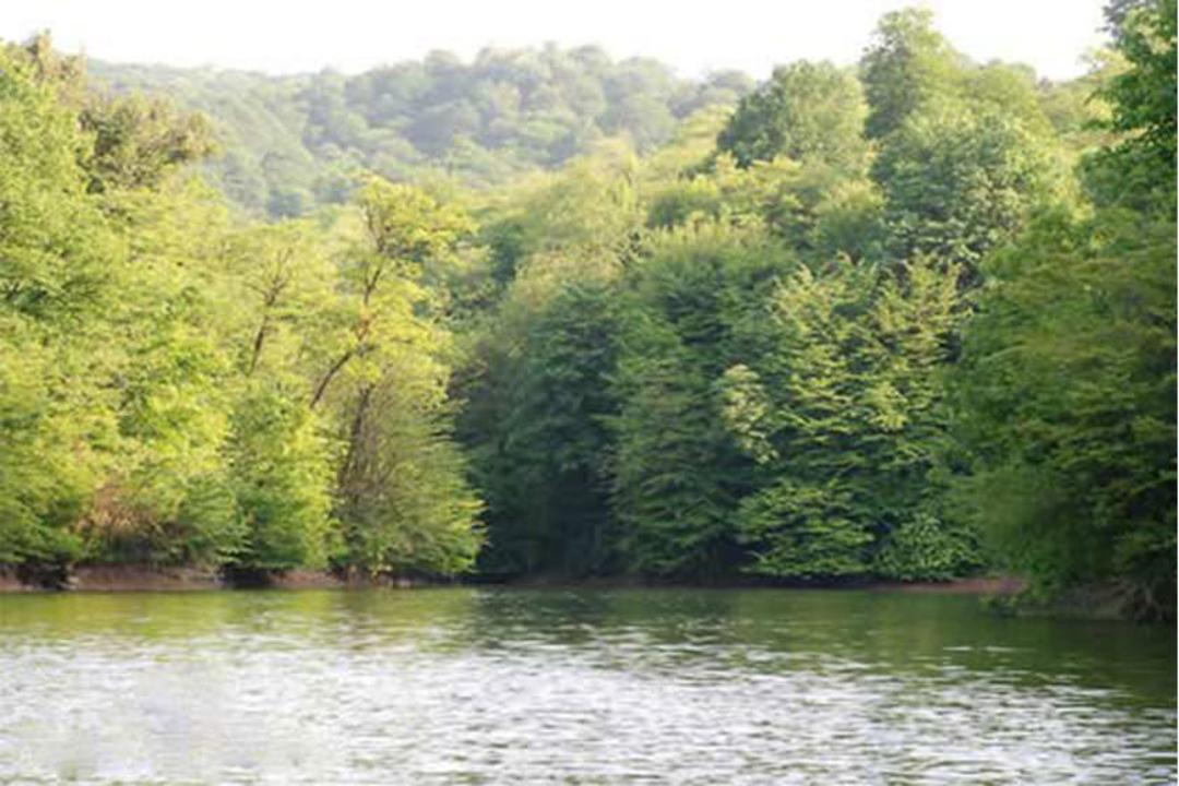 دریاچه گل پل
