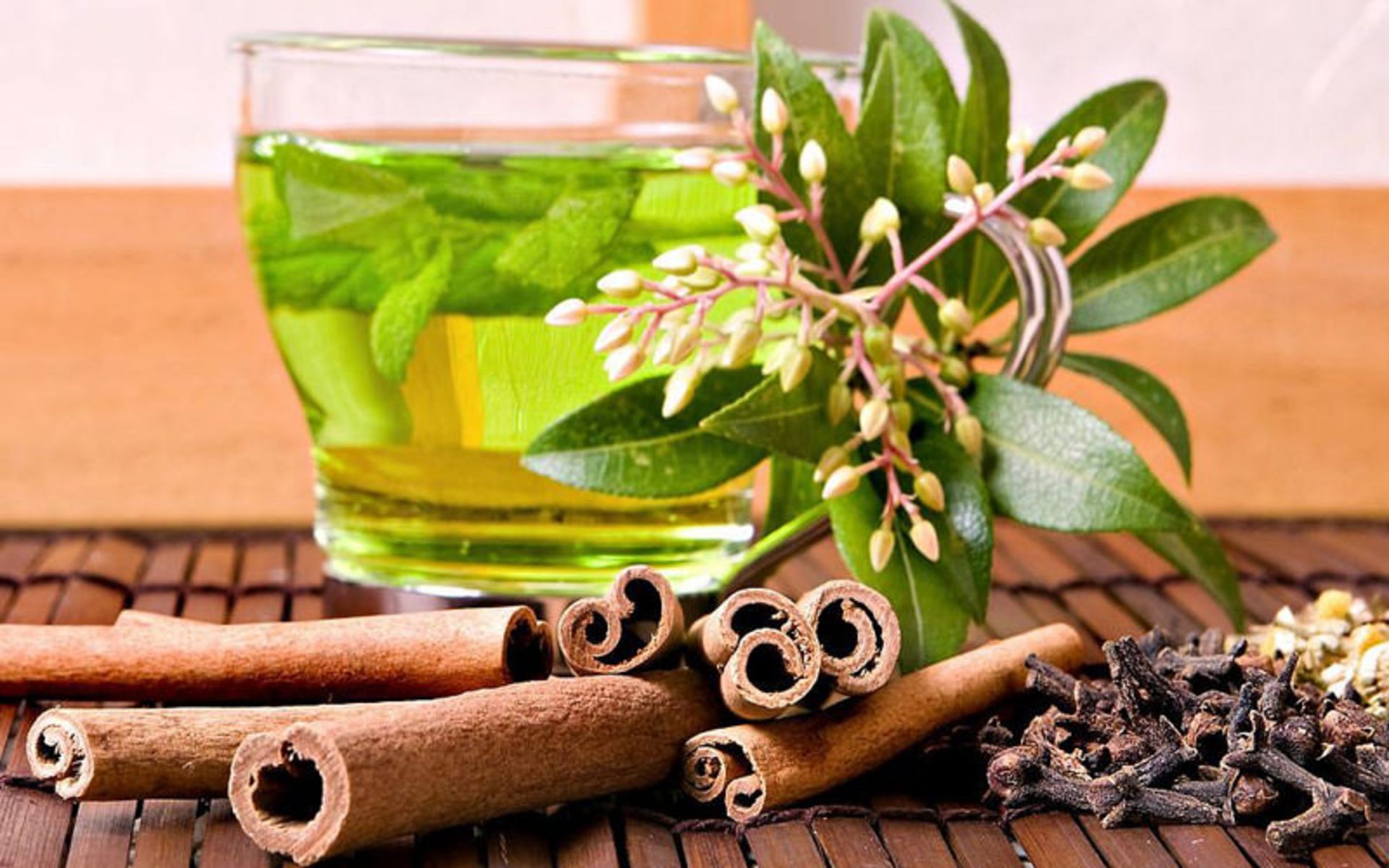 داروهای گیاهی