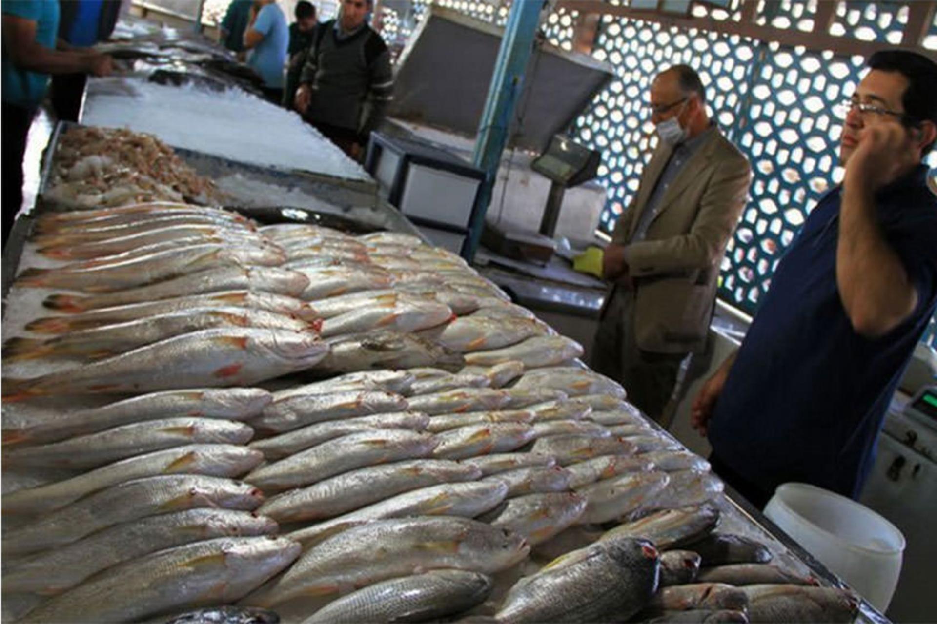 بازار جدید ماهی‌فروشان رامسر