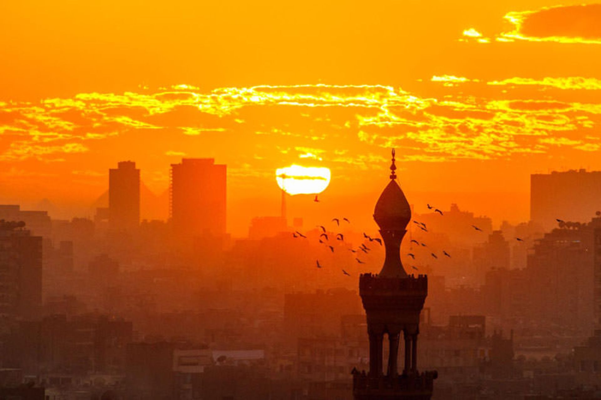 مصر 
