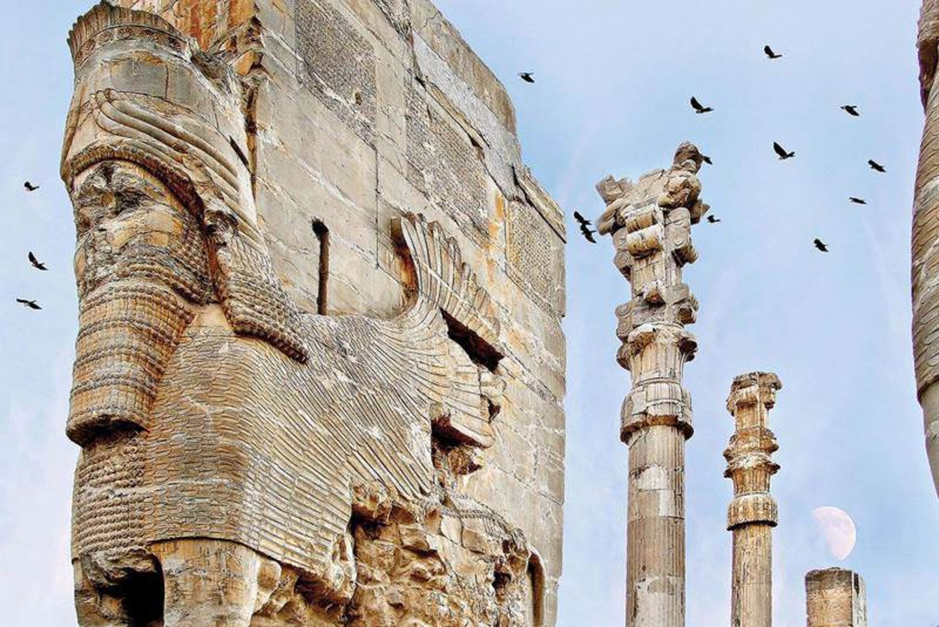شیر بالدار