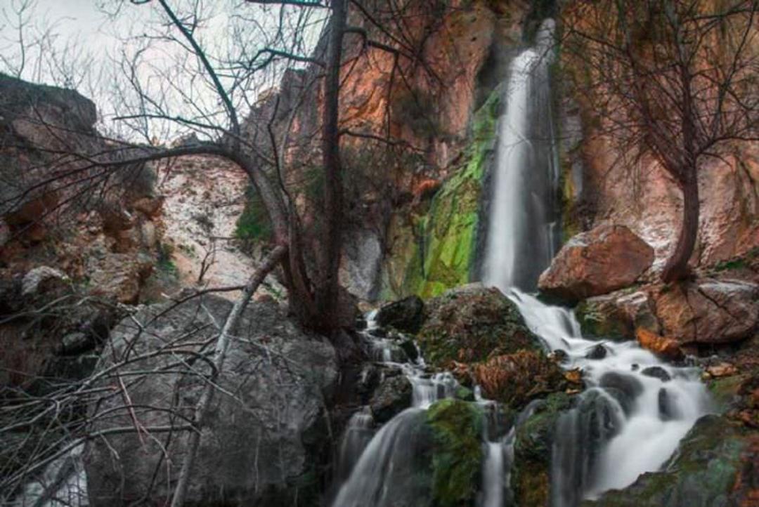 روستای دلفارد