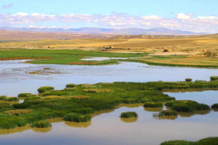 آق سرای 