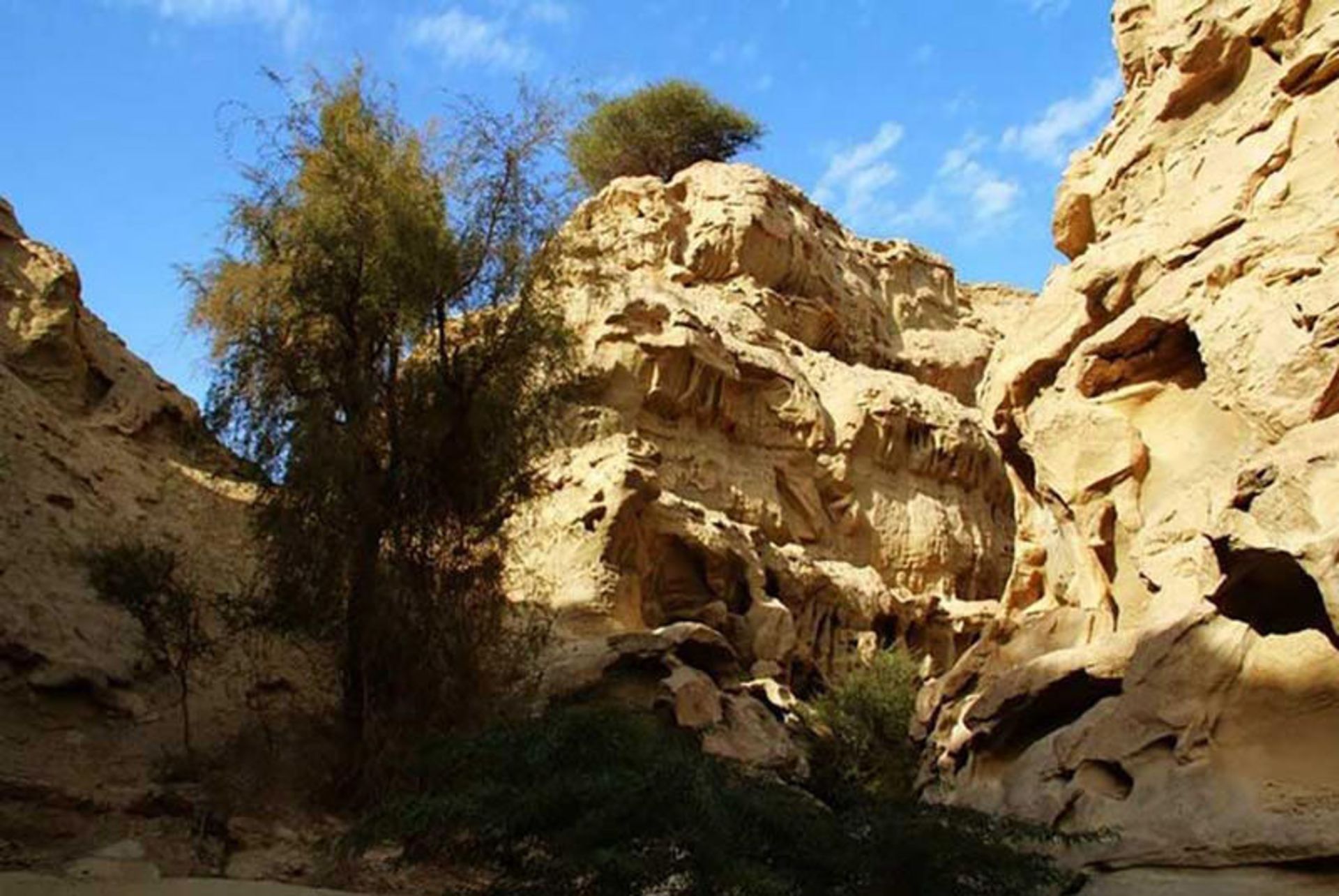 تنگه عالی محمد