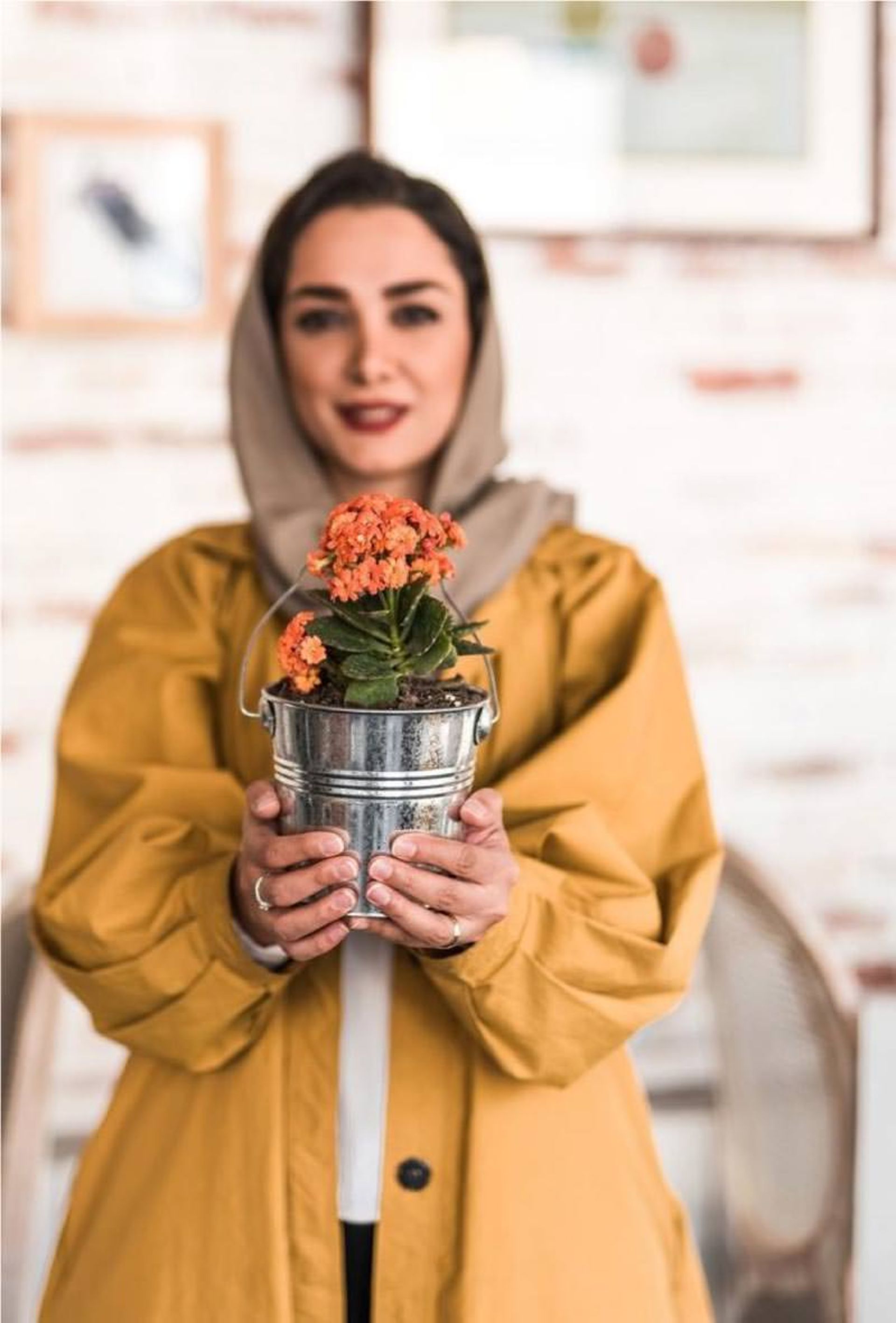 مینا شیری