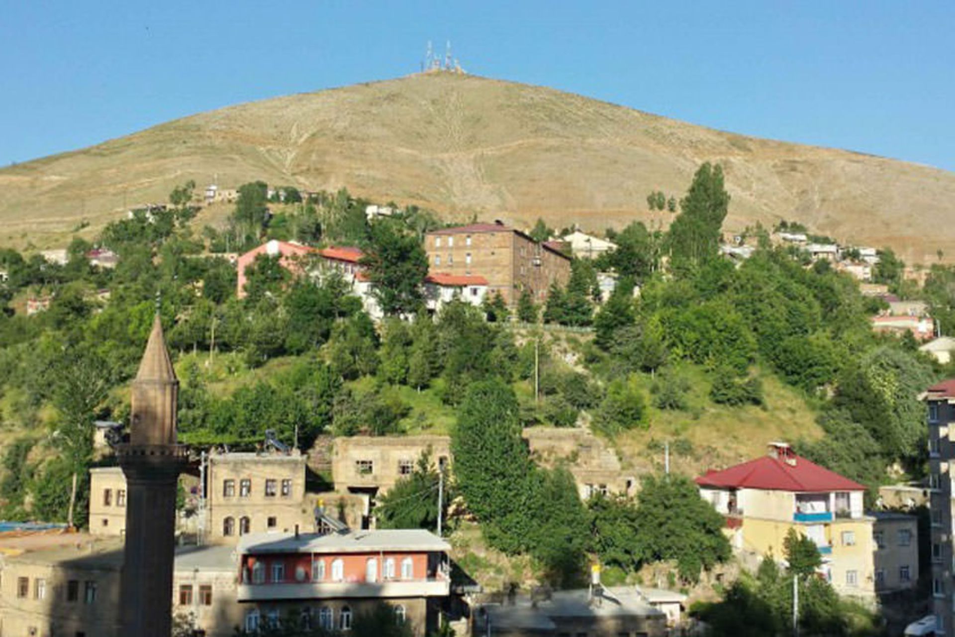 استان بتلیس 