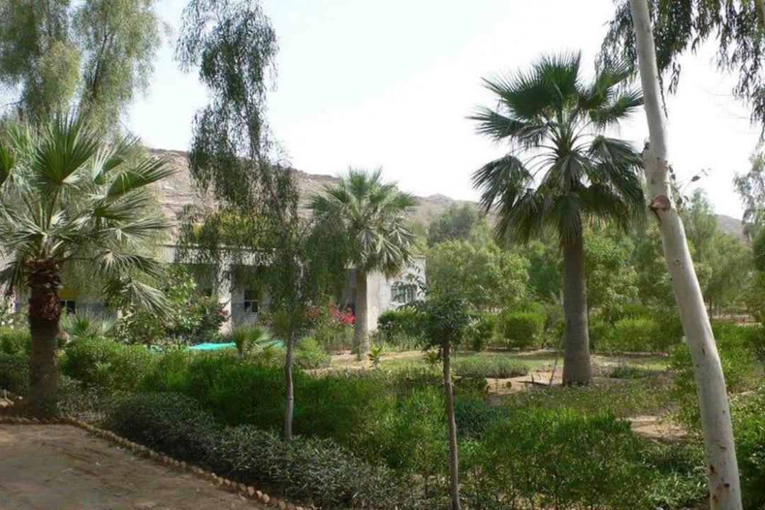 باغ گیاه شناسی تیس