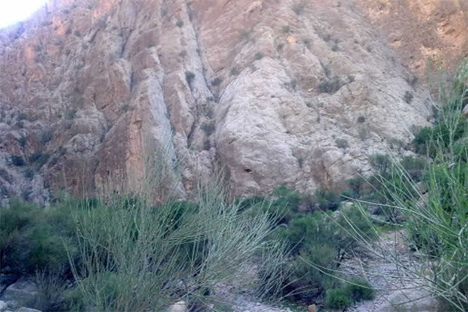 تنگ خشک 