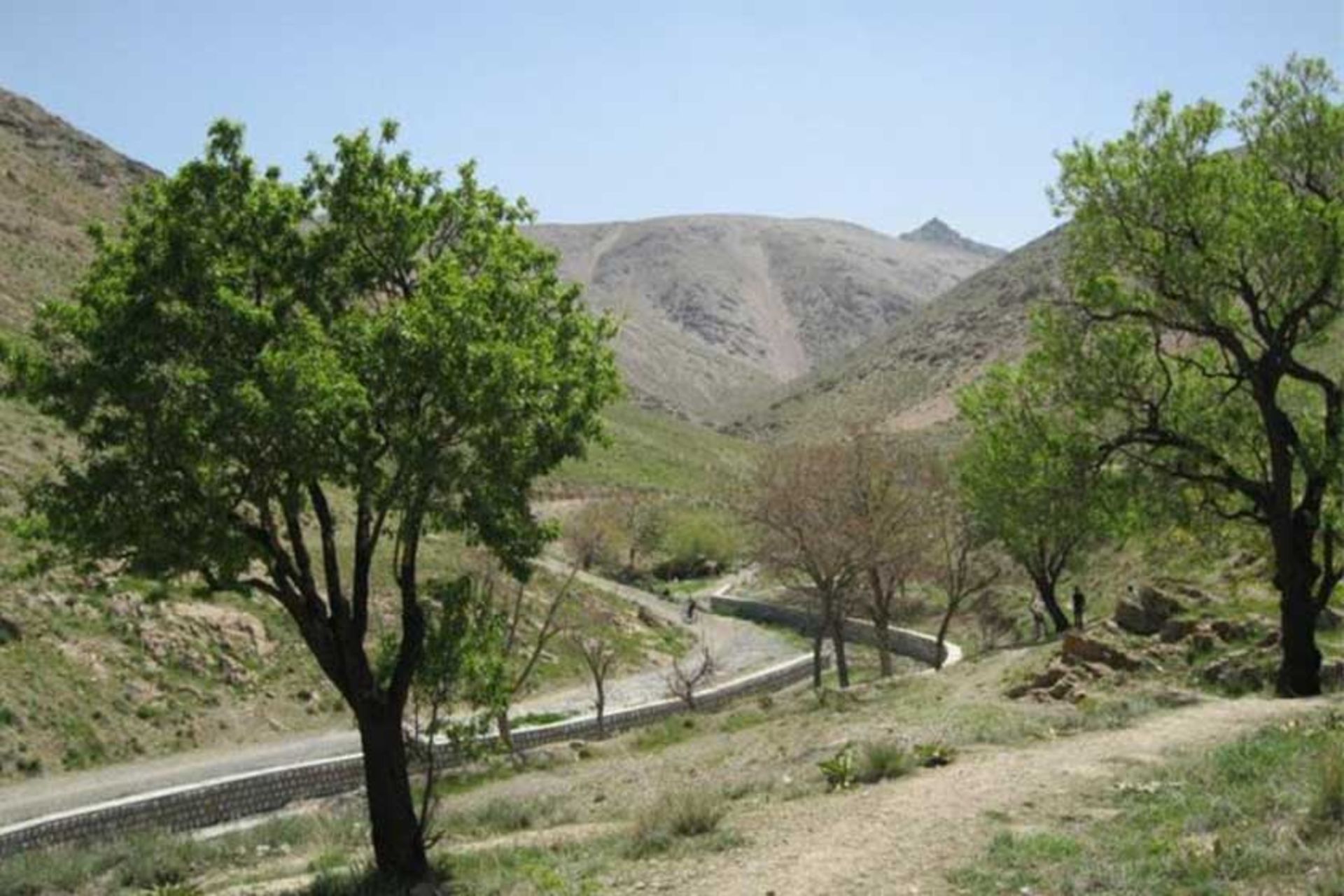 دره گردو