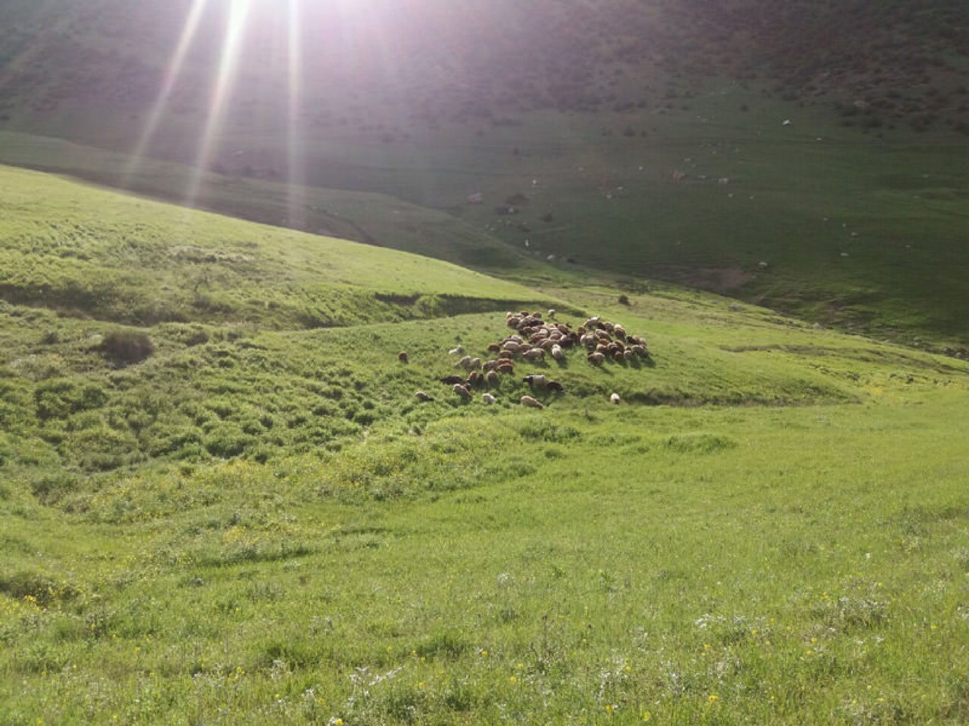 قرق شکنی