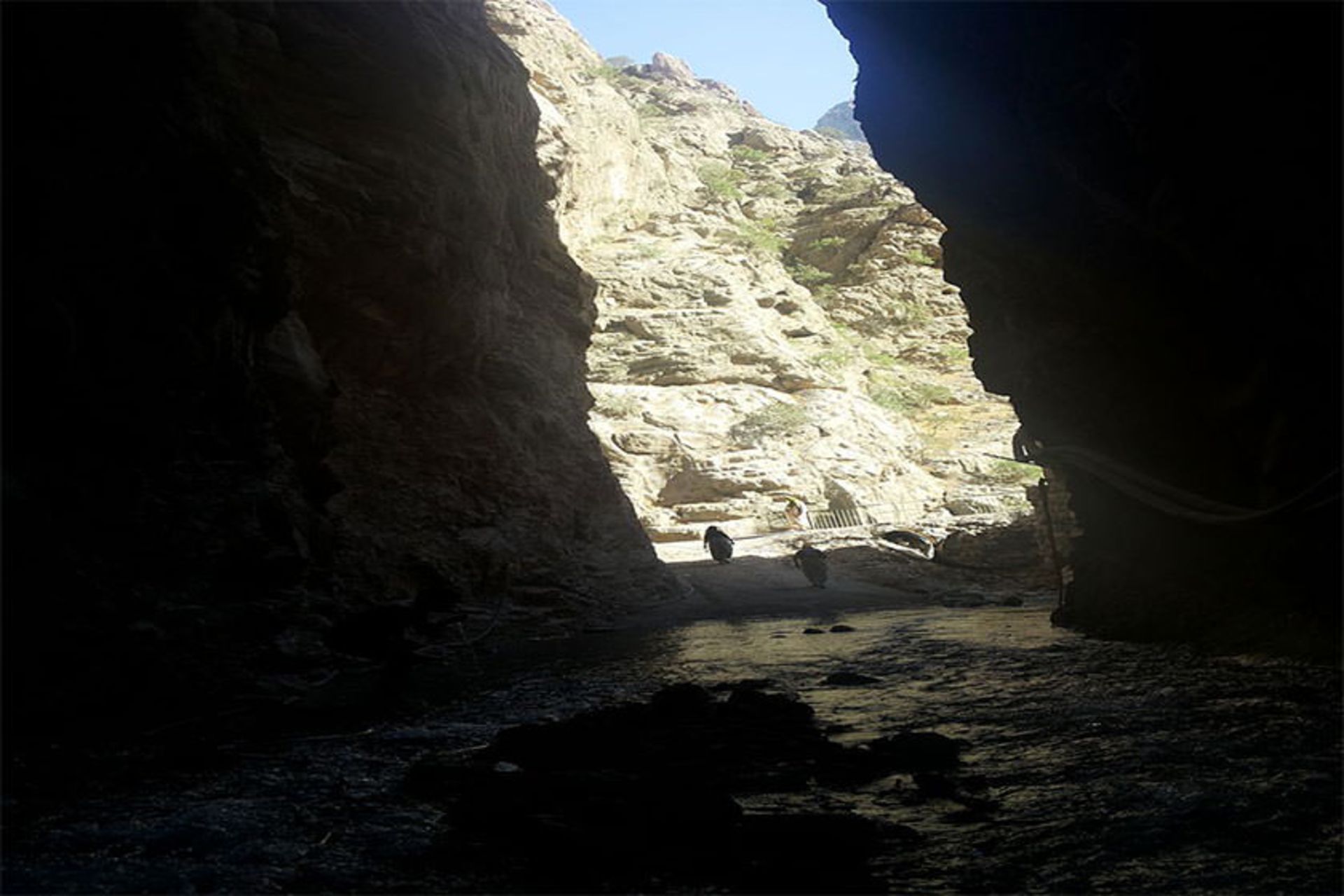 چشمه آب معدنی بل