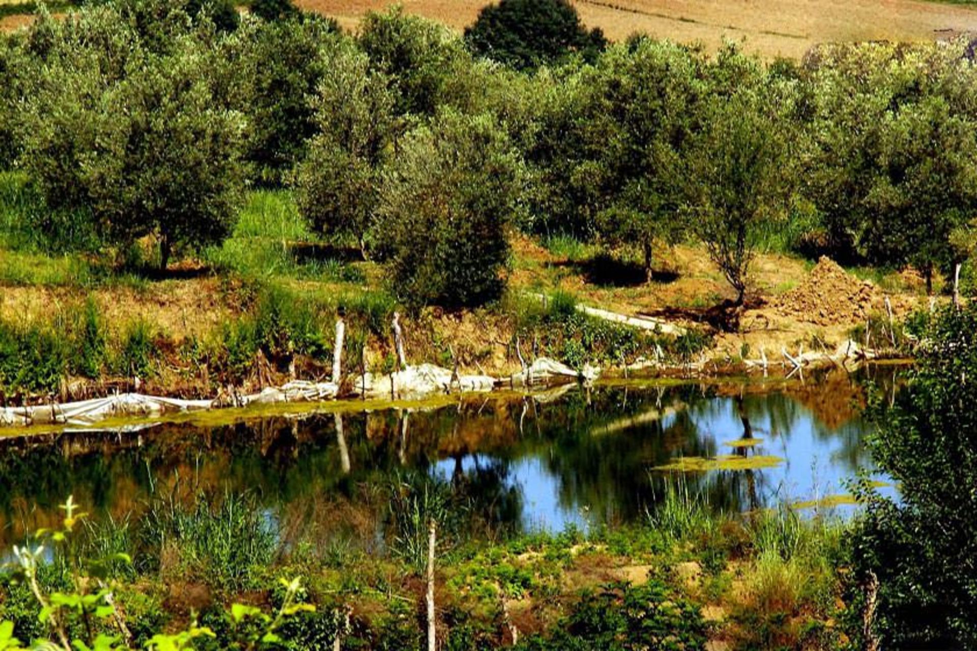پارک ملی گلستان