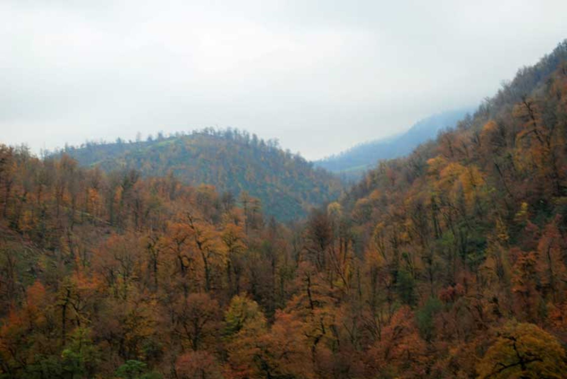 ارتفاعات تالش (Talysh Mountains)