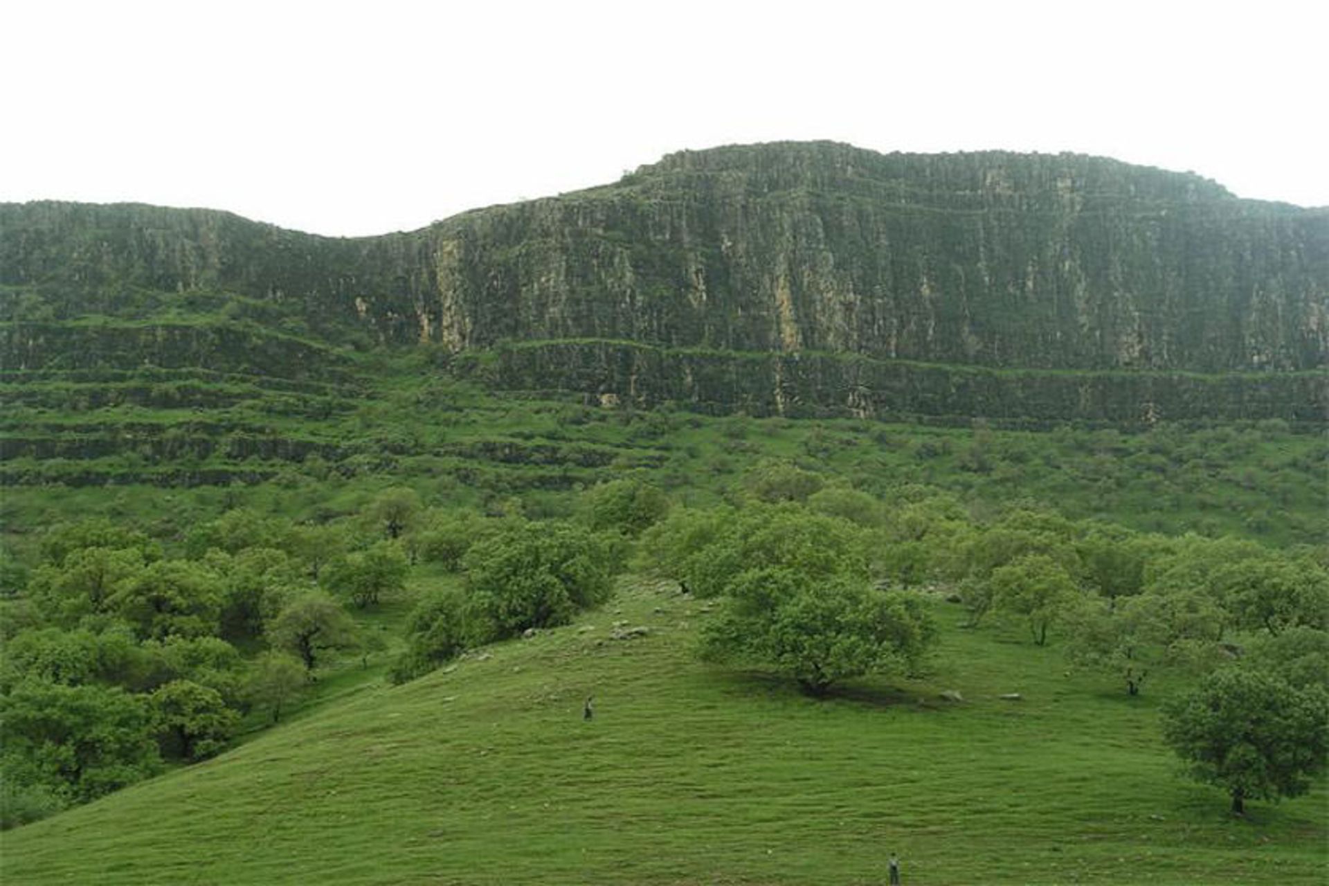 منطقه گردشگری شلالدون