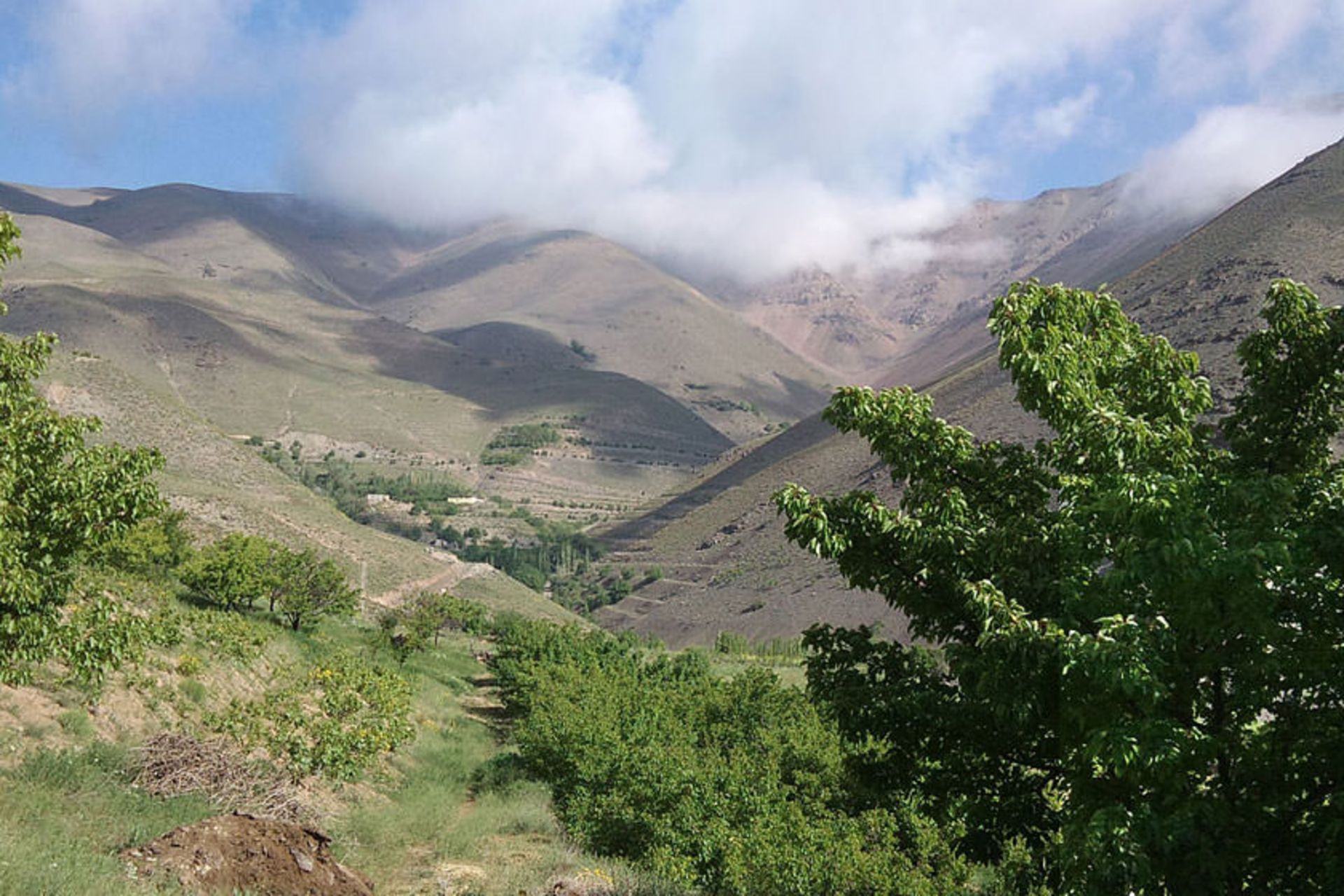 درود
