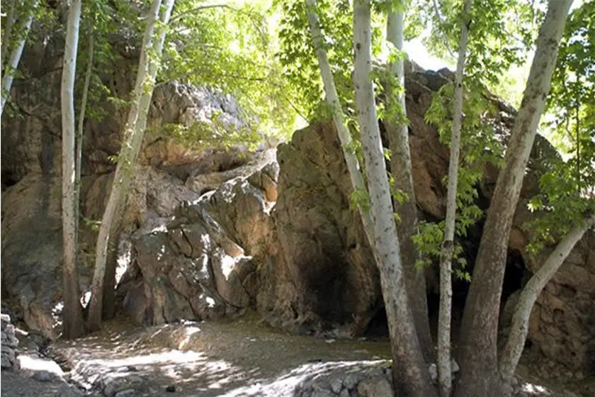 باغ بدره