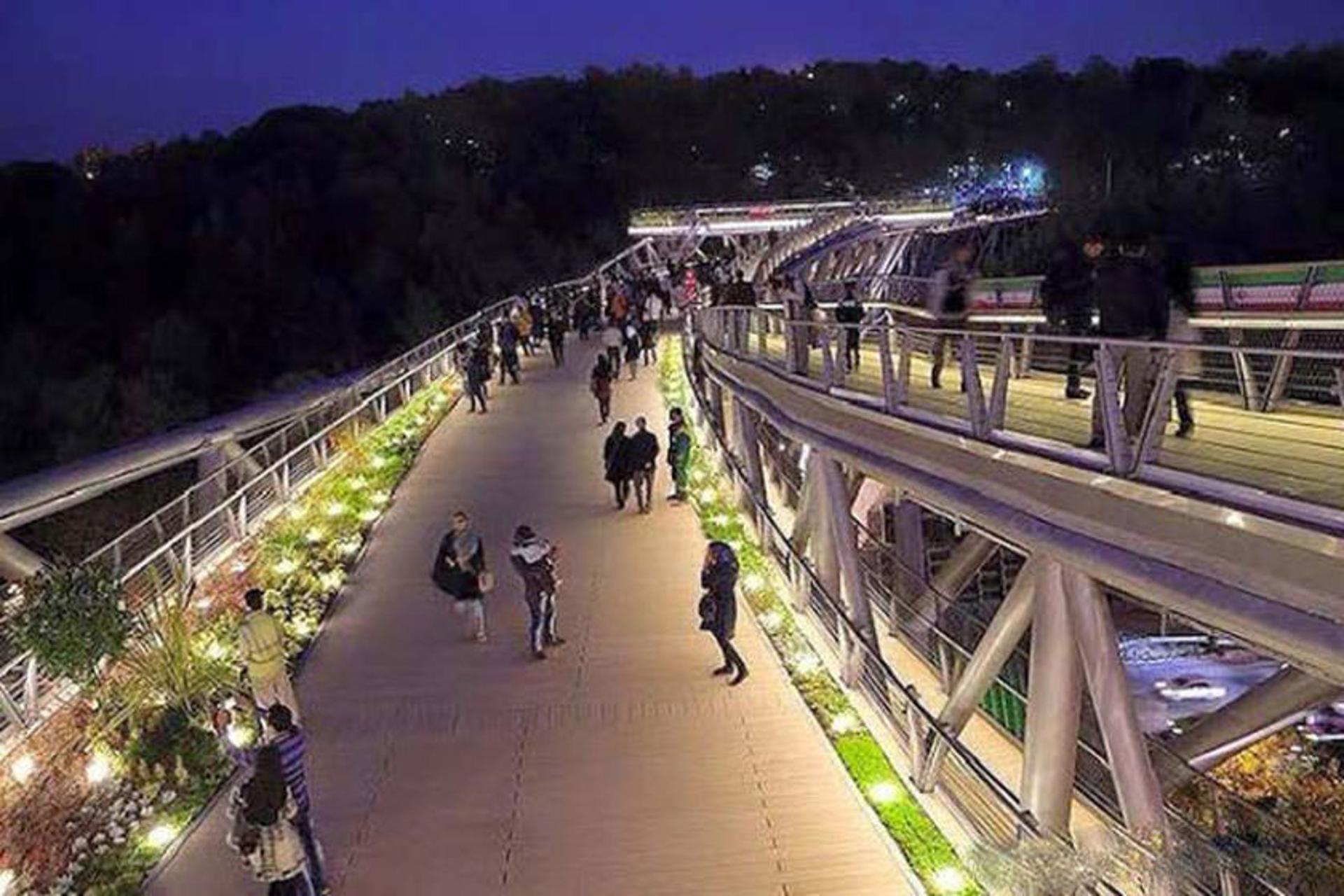 پل طبیعت در شب