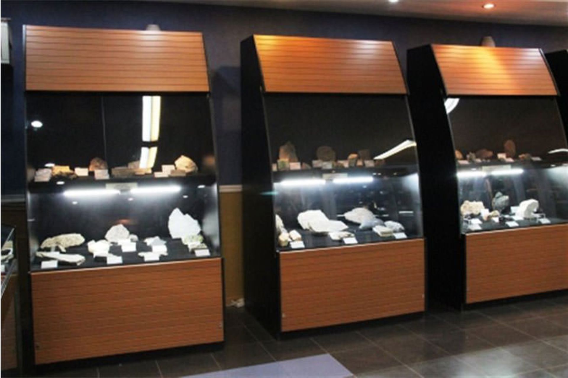 موزه علوم زمین