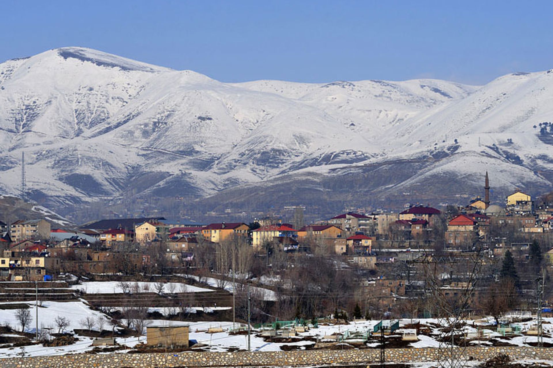 استان بتلیس 