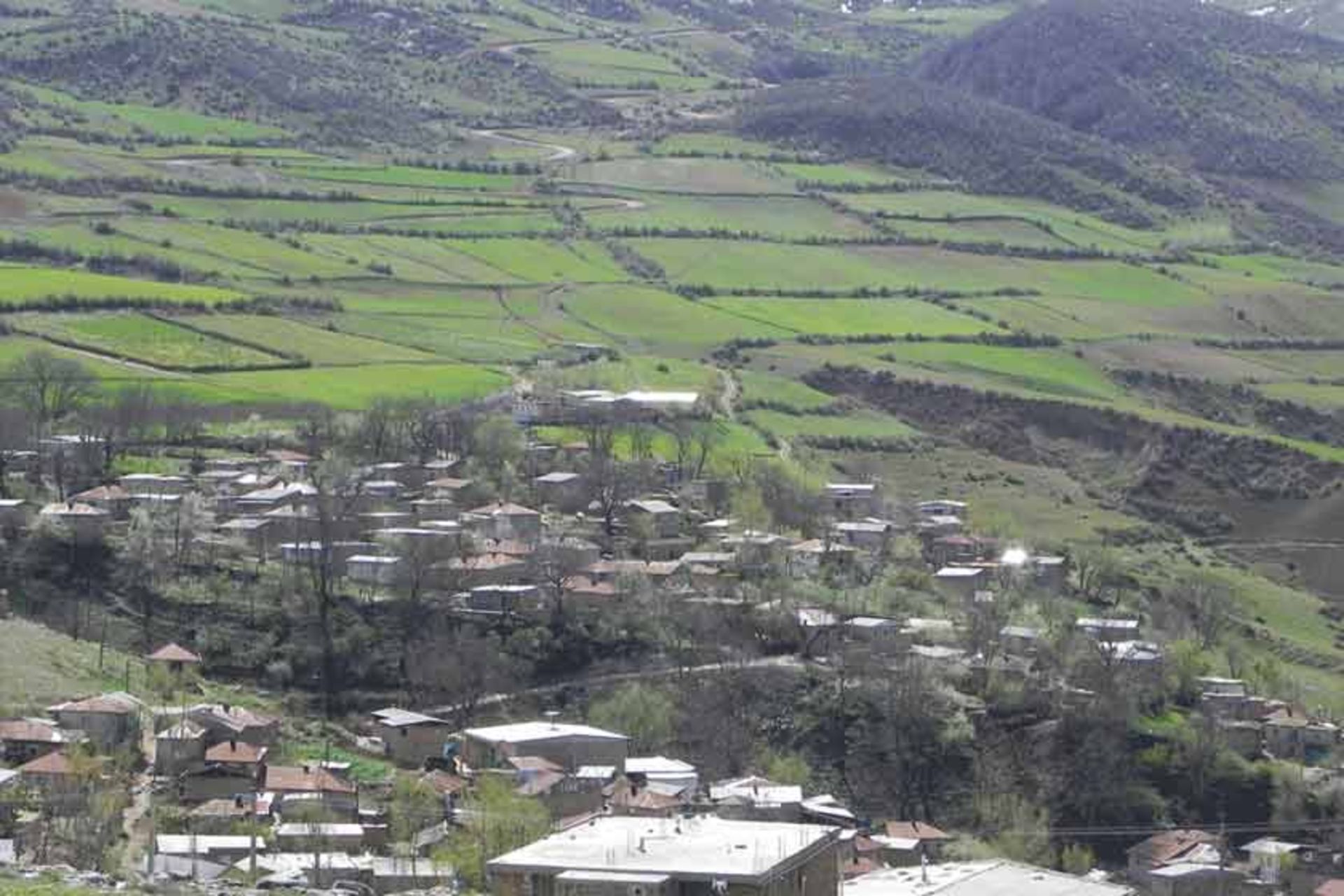 مینودشت