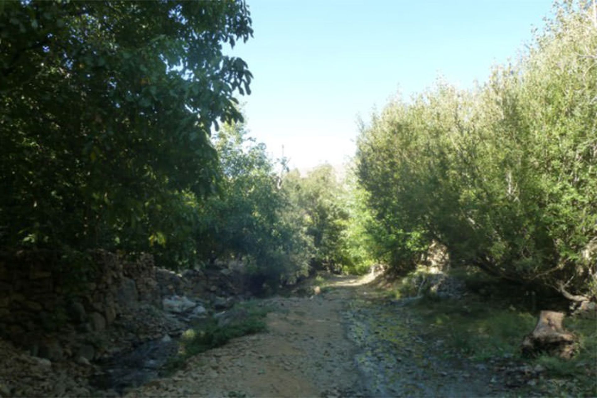 قله فلسکه