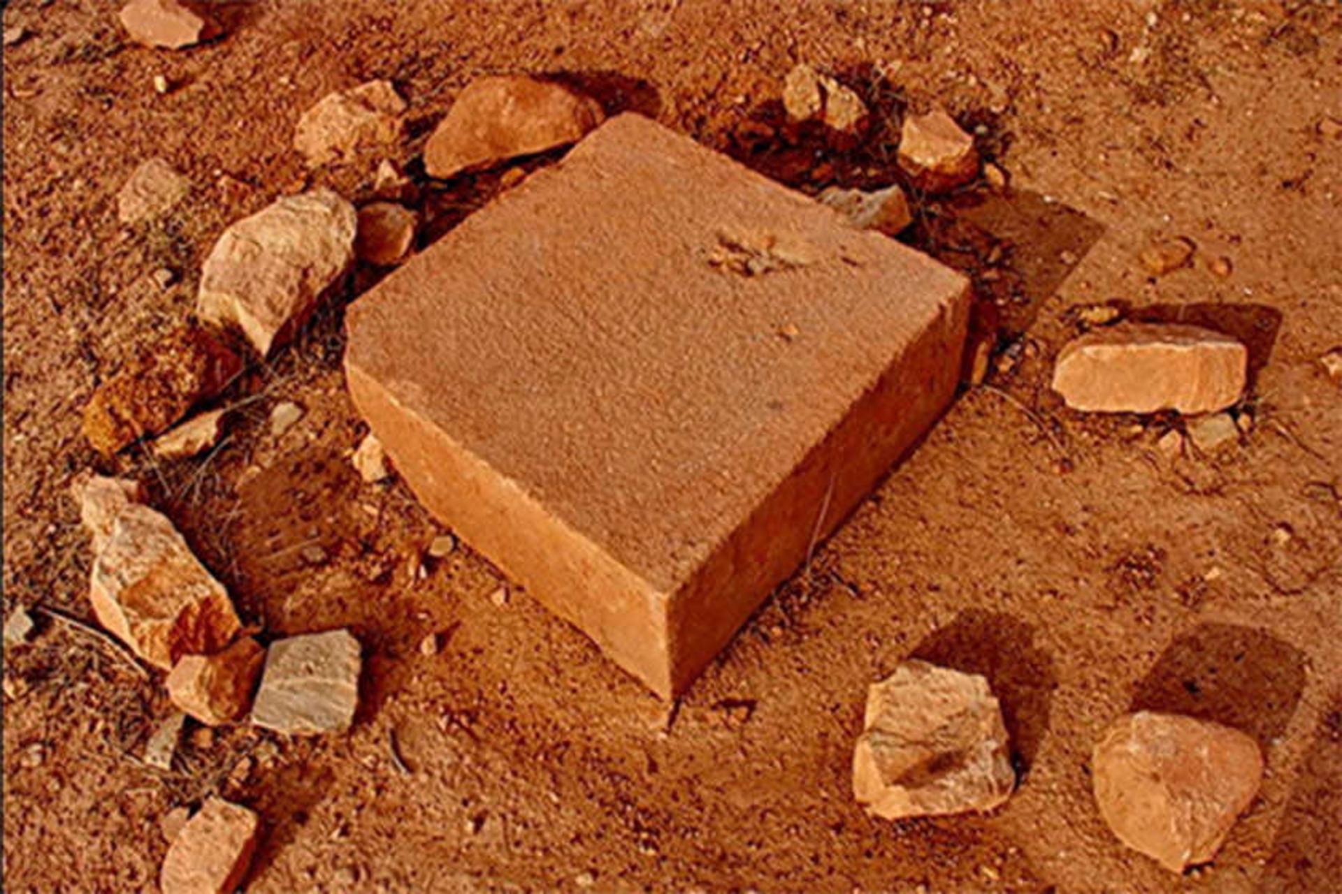 سرخ دم لكی