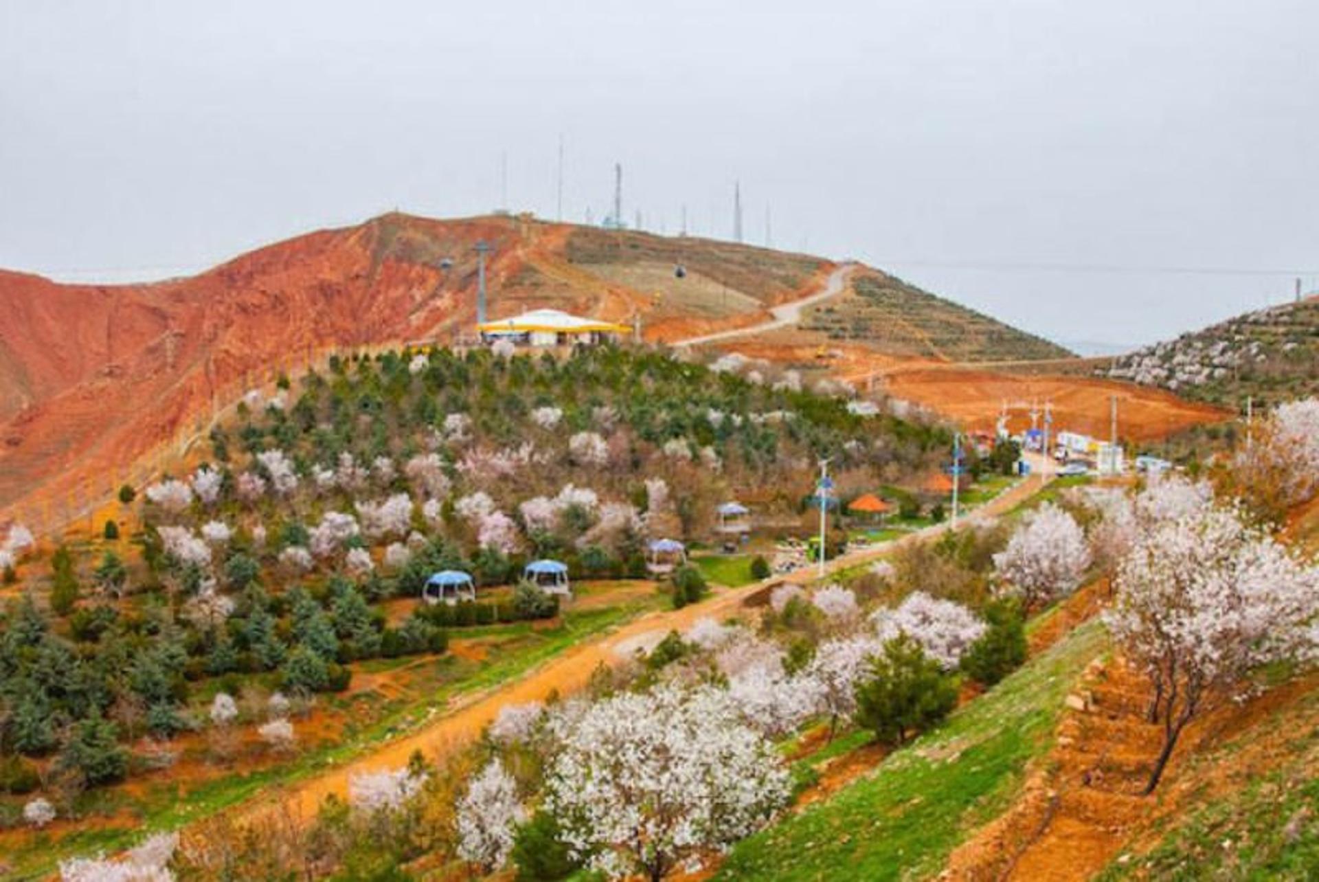 فضای سبز مجموعه تفریحی عون ابن علی