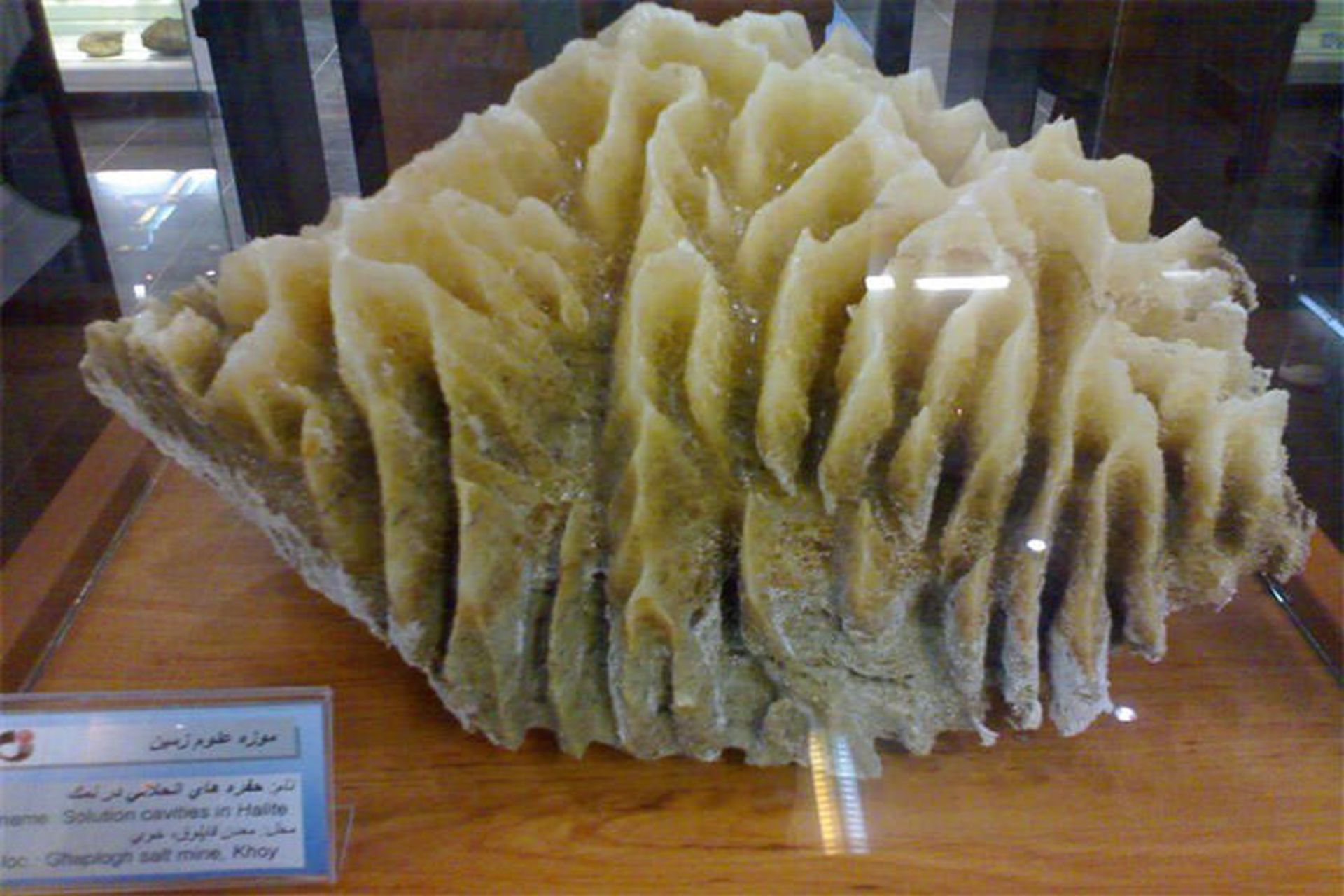 موزه علوم زمین