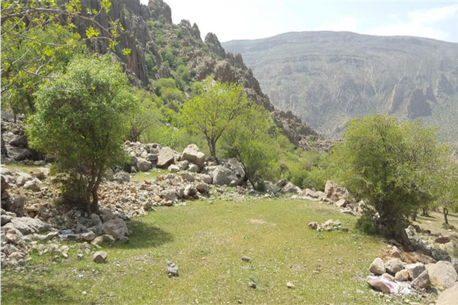 تیر باغ 