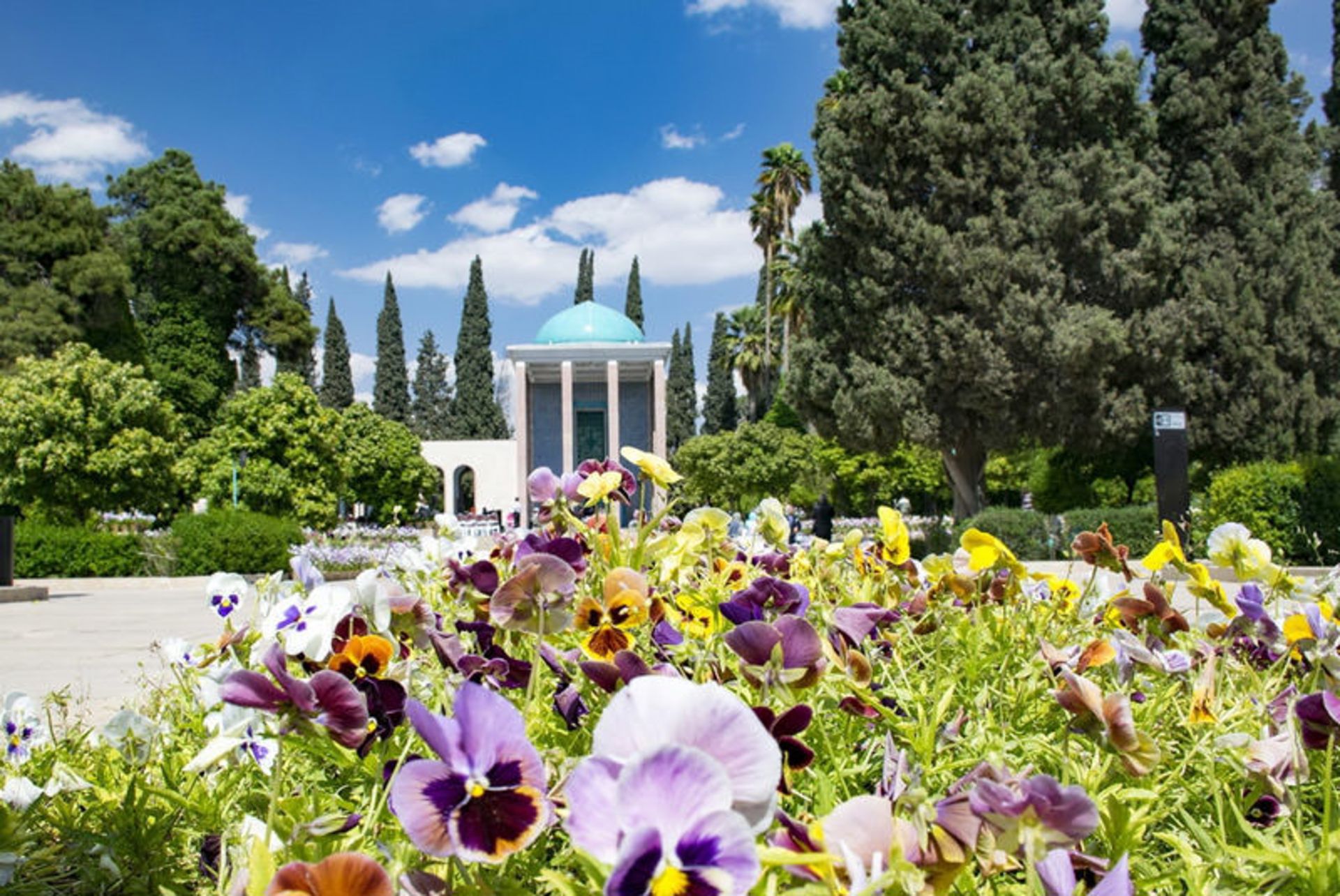 سعدیه