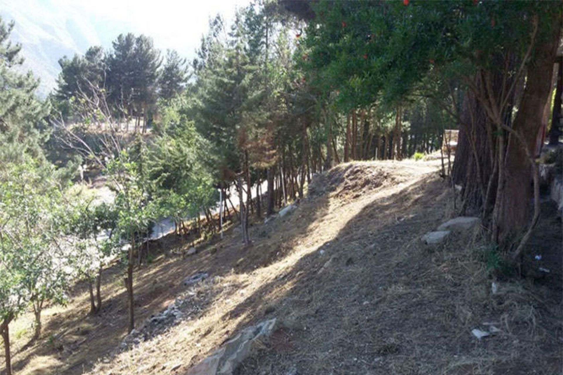پارک طبیعی کویمکال