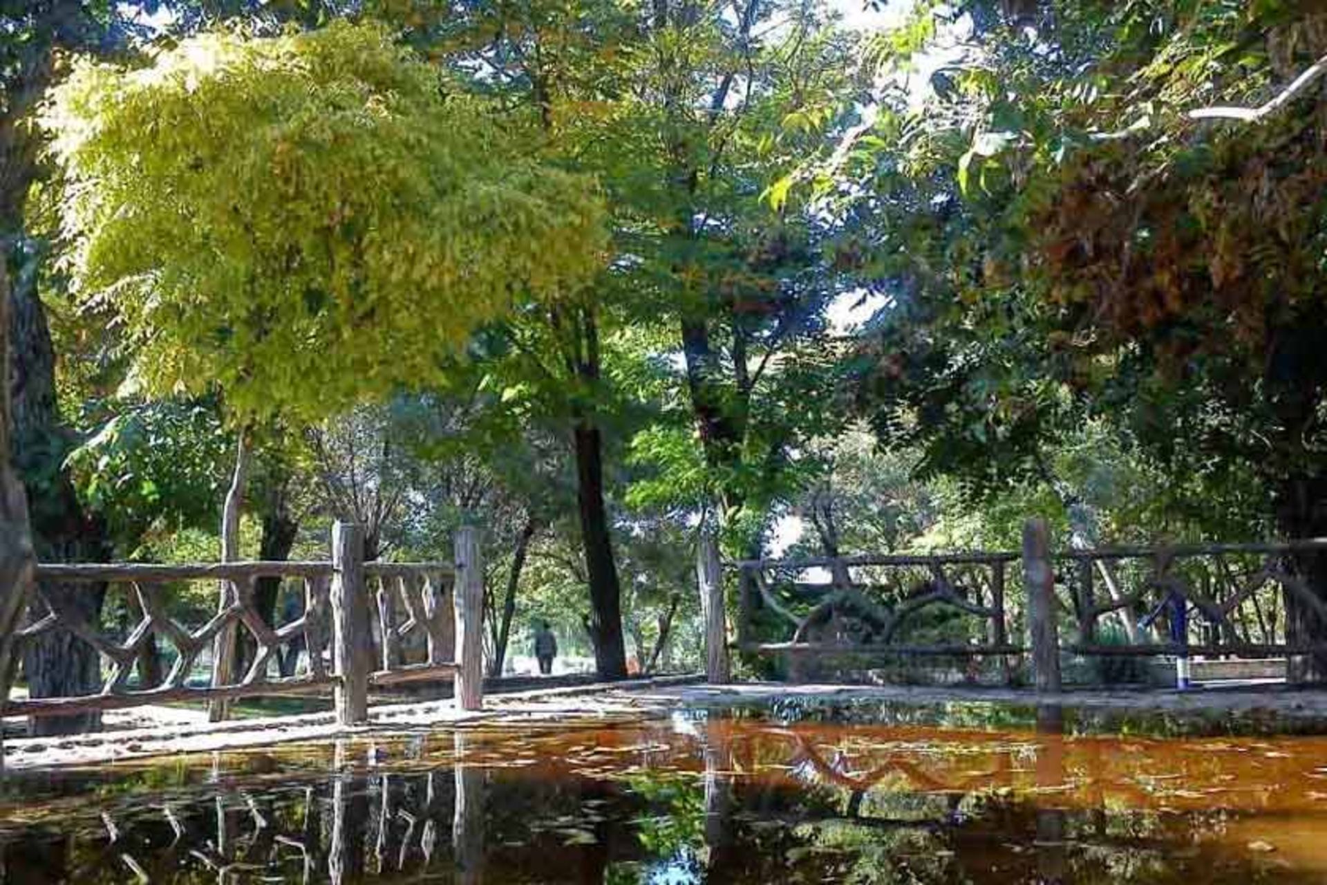 پارک سیفیه ملایر