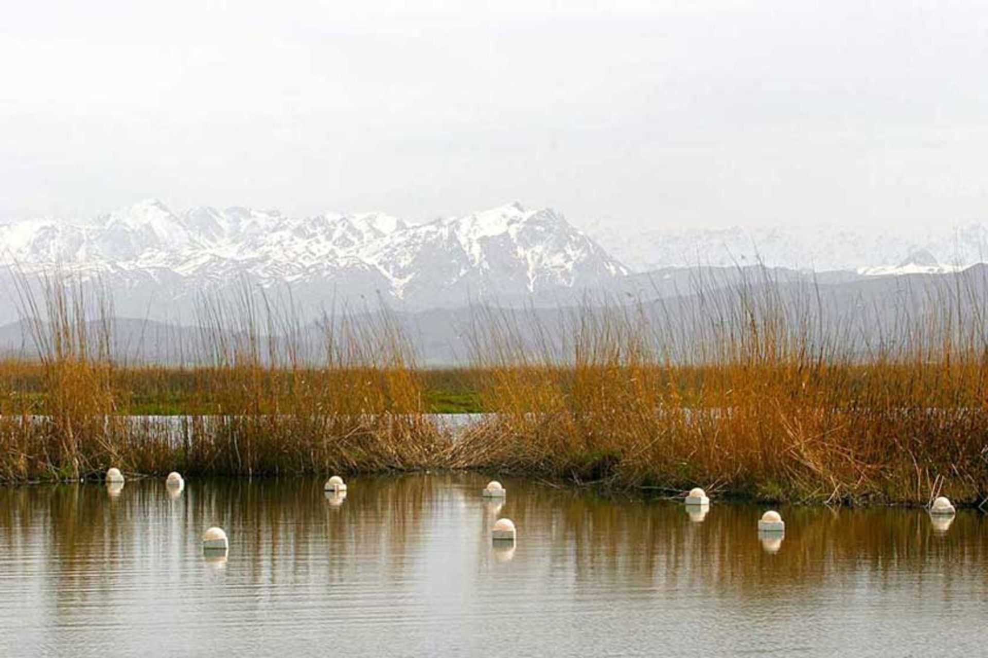 مریوان