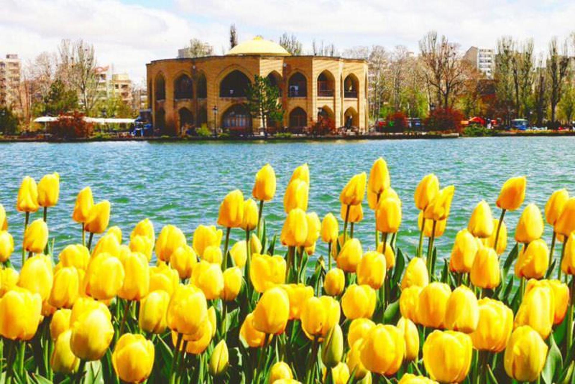 تبریز