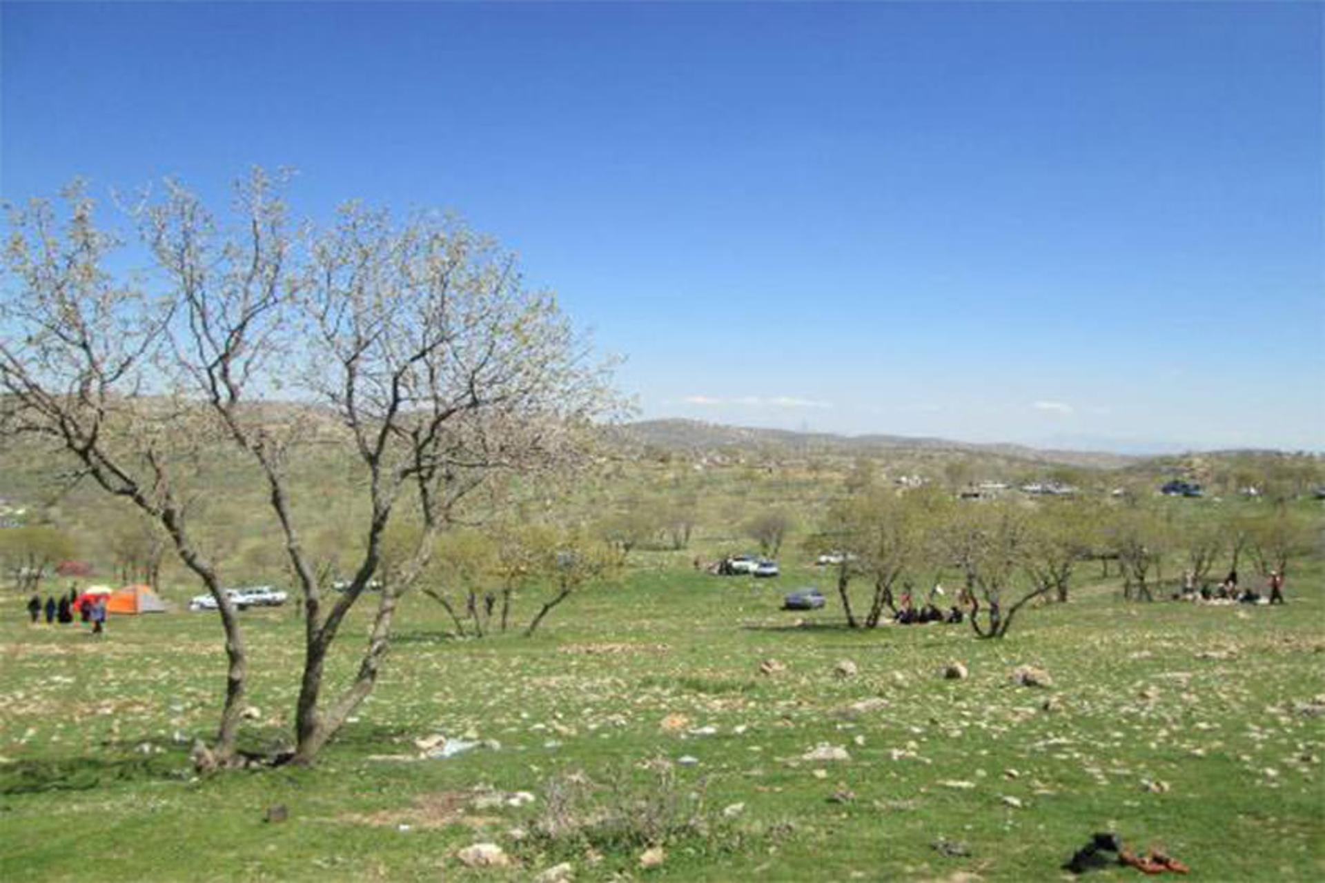 منطقه جنگلی گلال سیاه