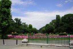 Cismigiu Gardens