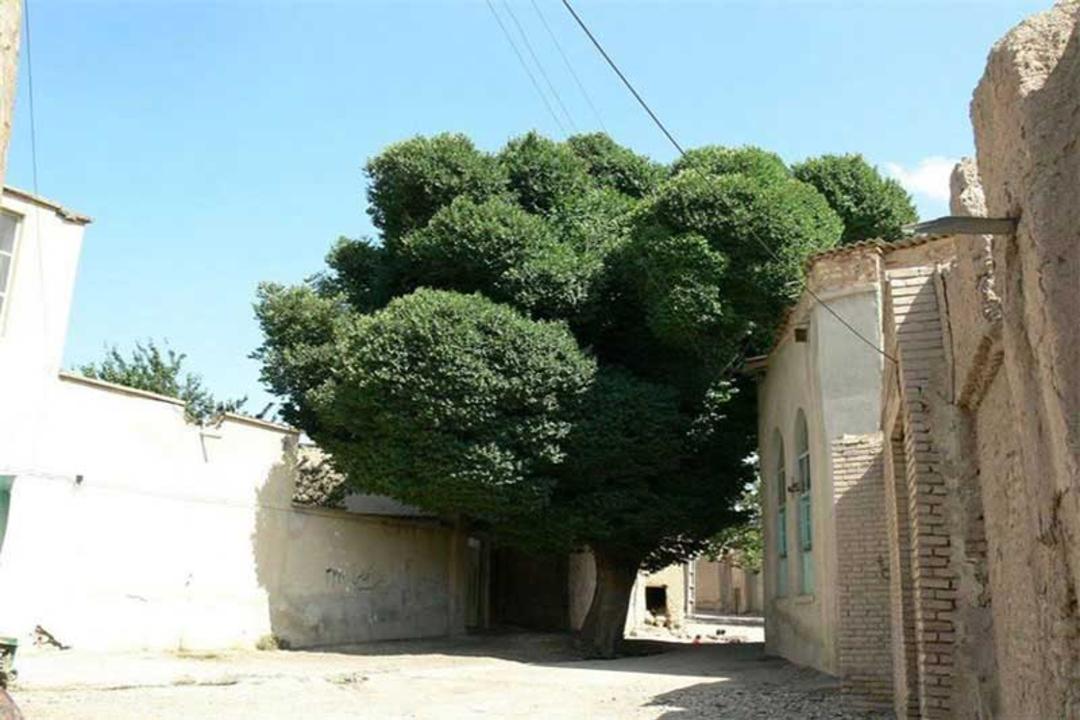 خانه تاریخی خاندان میرفخرایی
