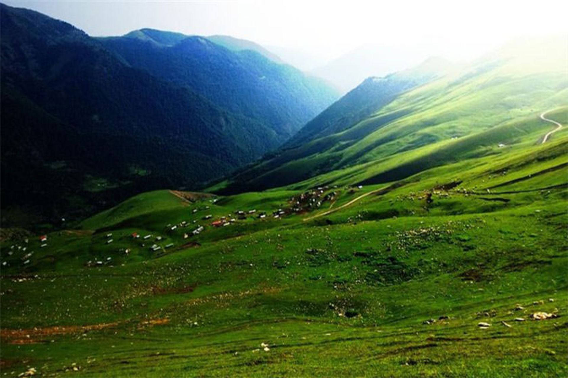 ییلاق دشته 