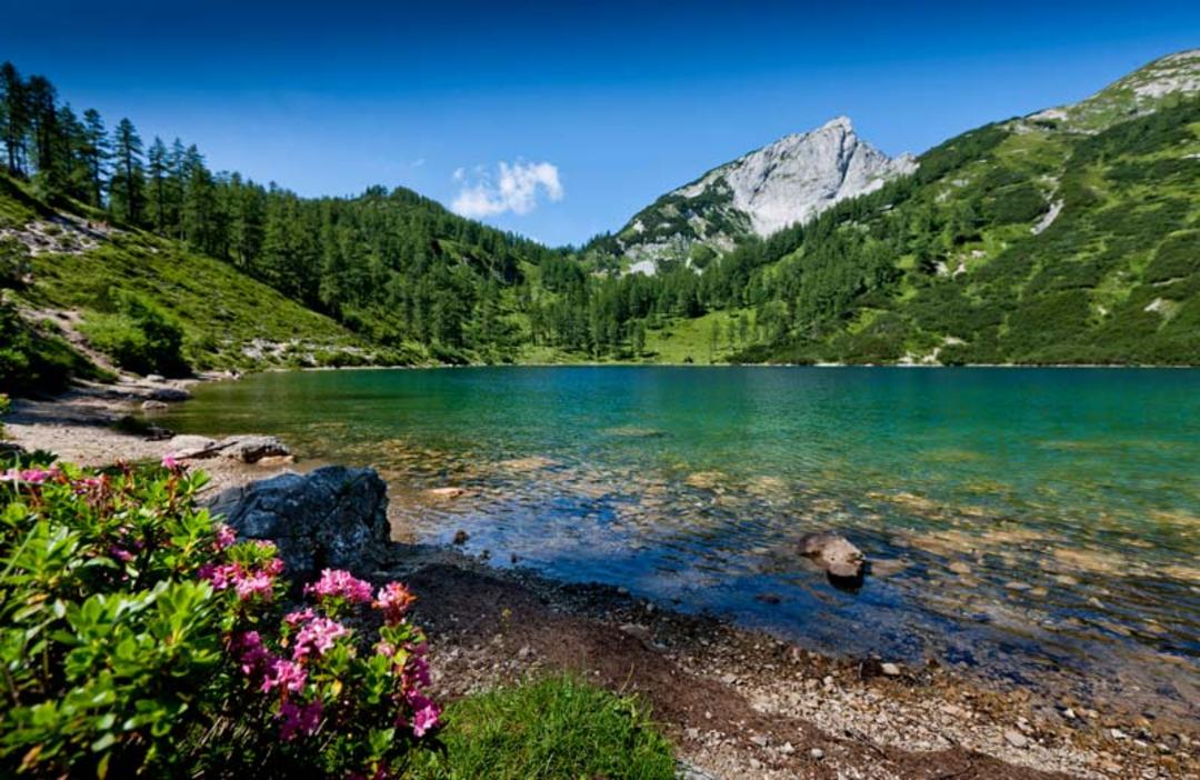 بد اوسی