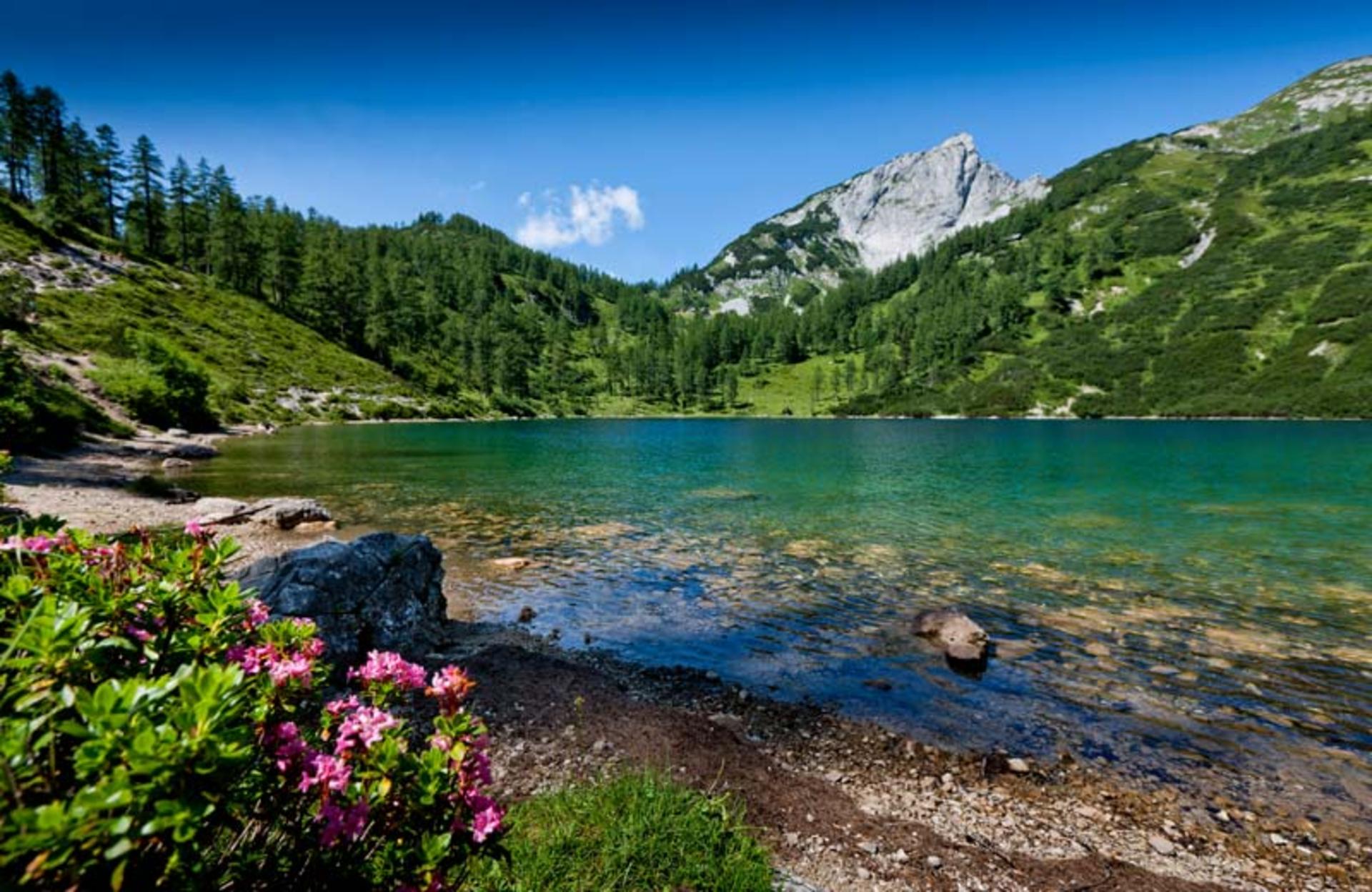 بد اوسی
