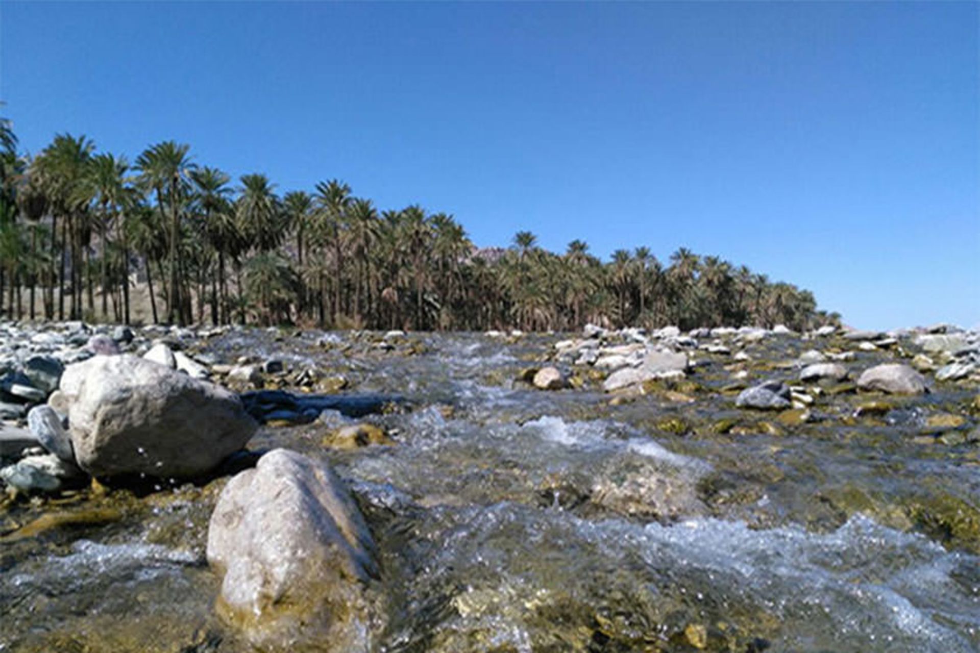 رودخانه دامن 