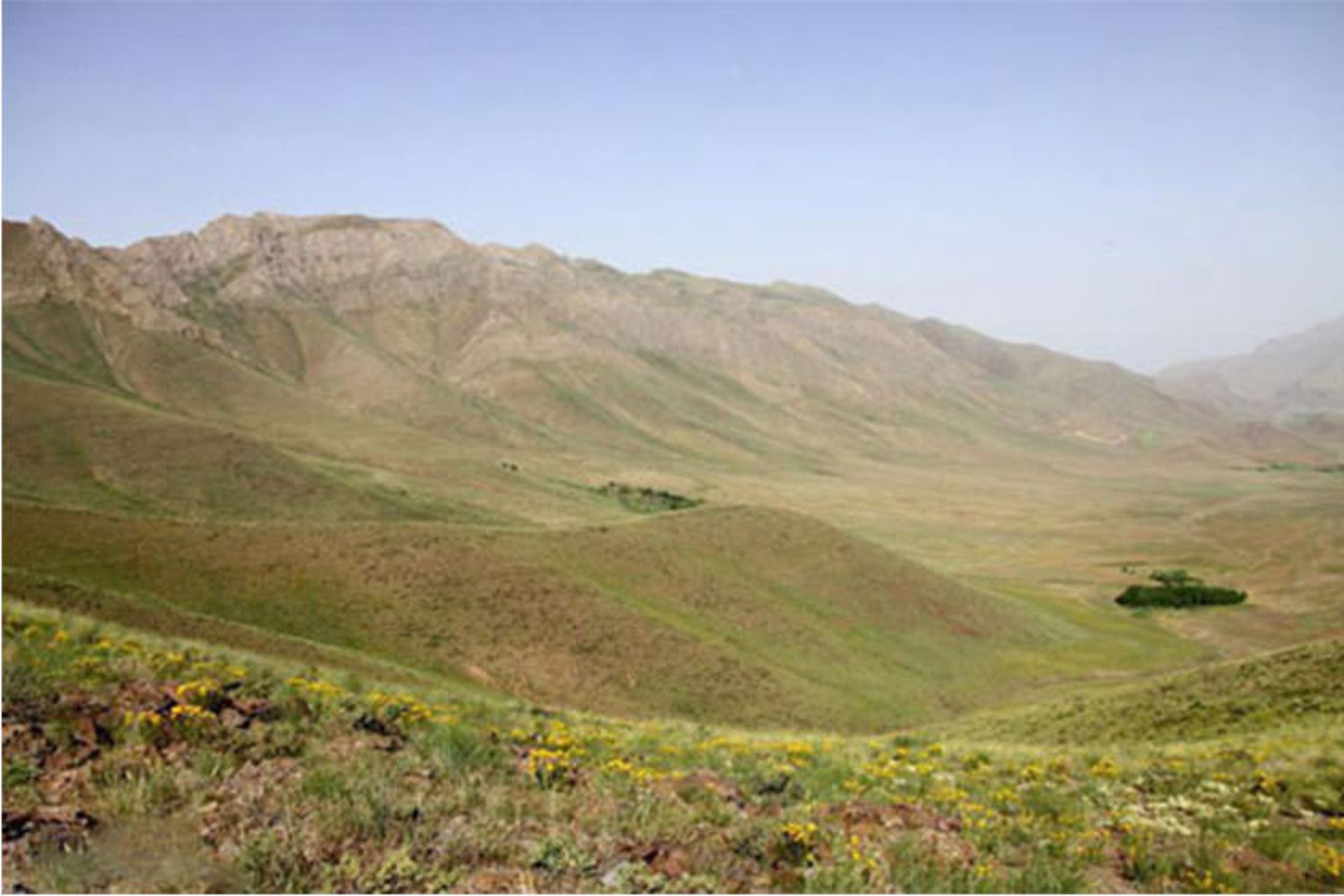 منطقه حفاظت‌ شده لشگر