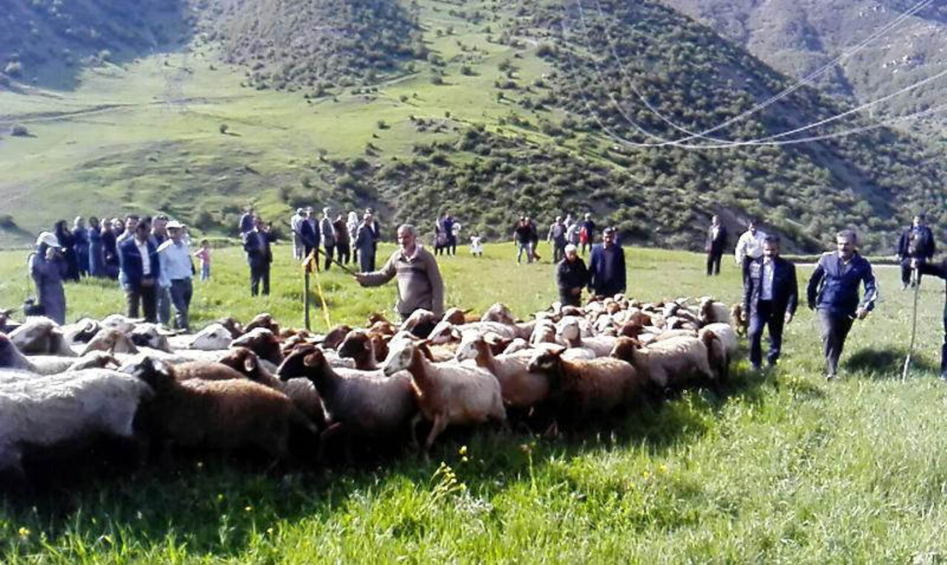 قرق شکنی