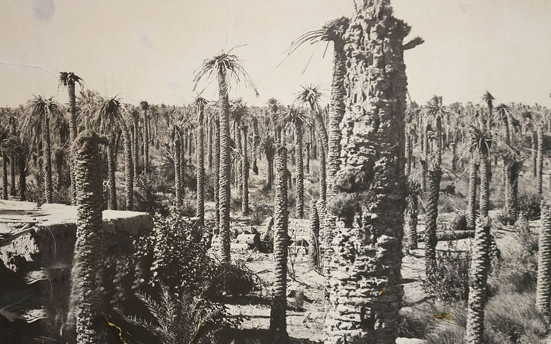 خرمشهر