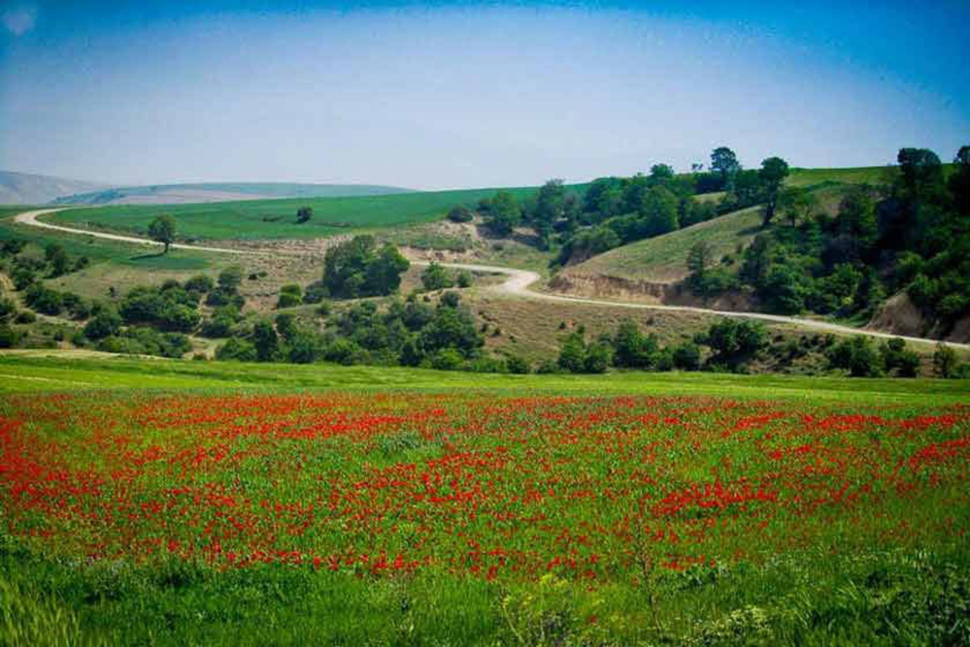 2018-5-8f5cd2a8-4393-4fee-9426-896f2c16e4cc