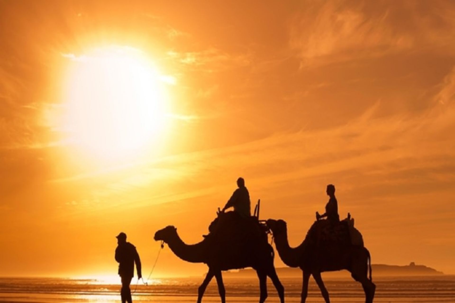 مذاکش