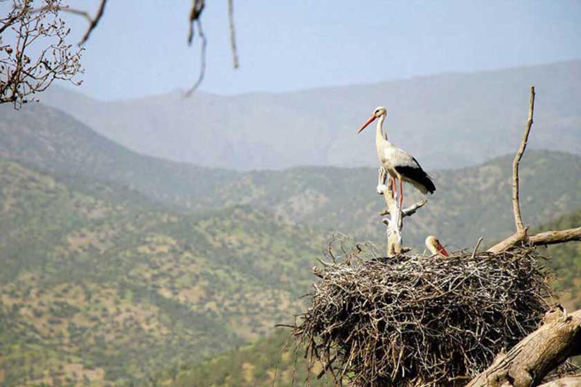 تفرجگاه ملاقوبی