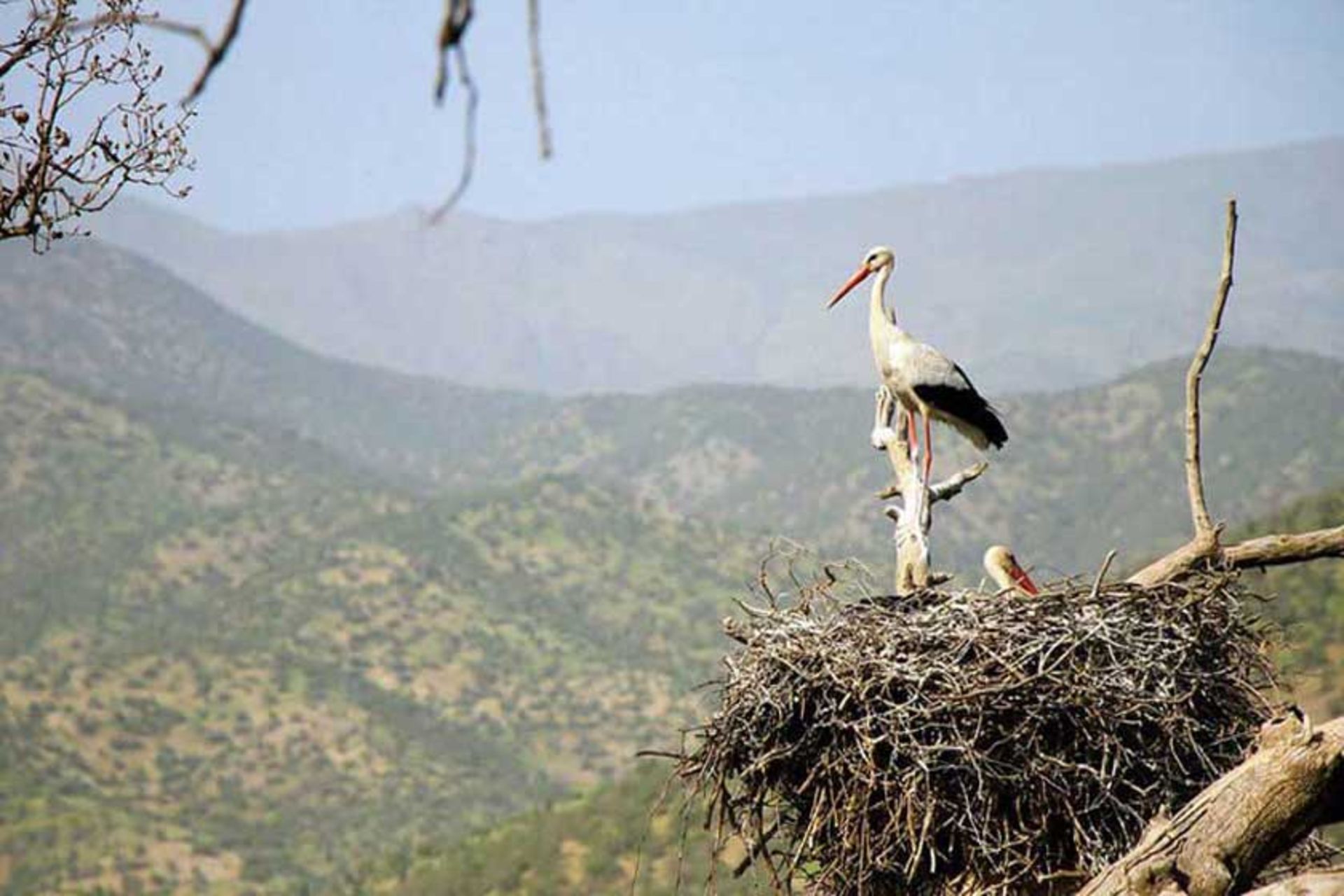 تفرجگاه ملاقوبی