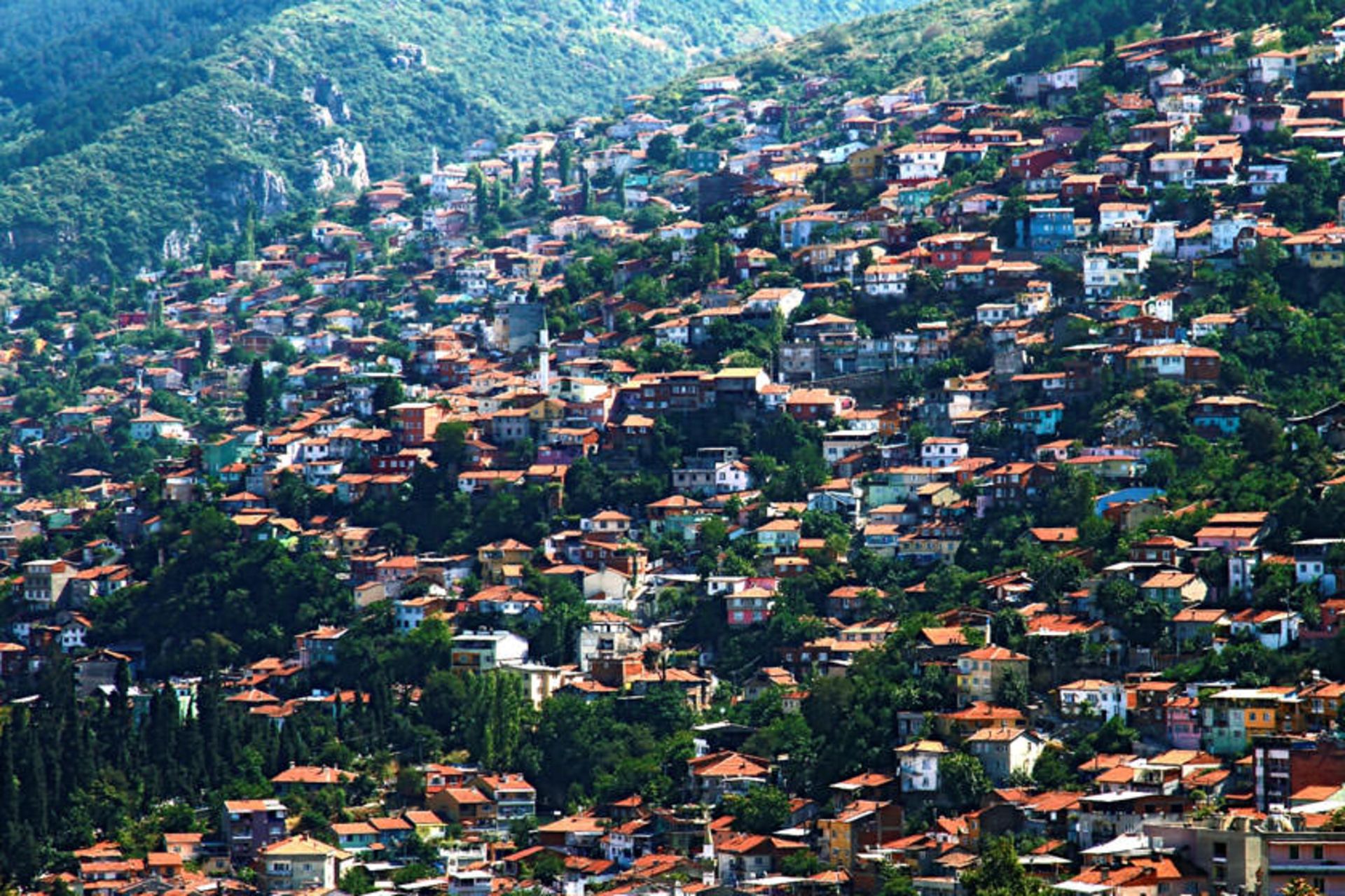 استان بورسا 